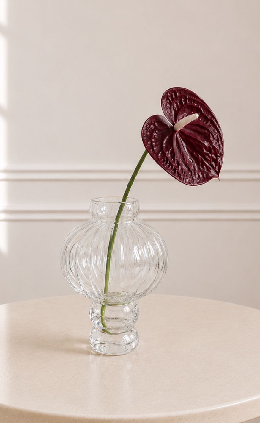 Sabloom Stilke - Anthurium - Burgundy