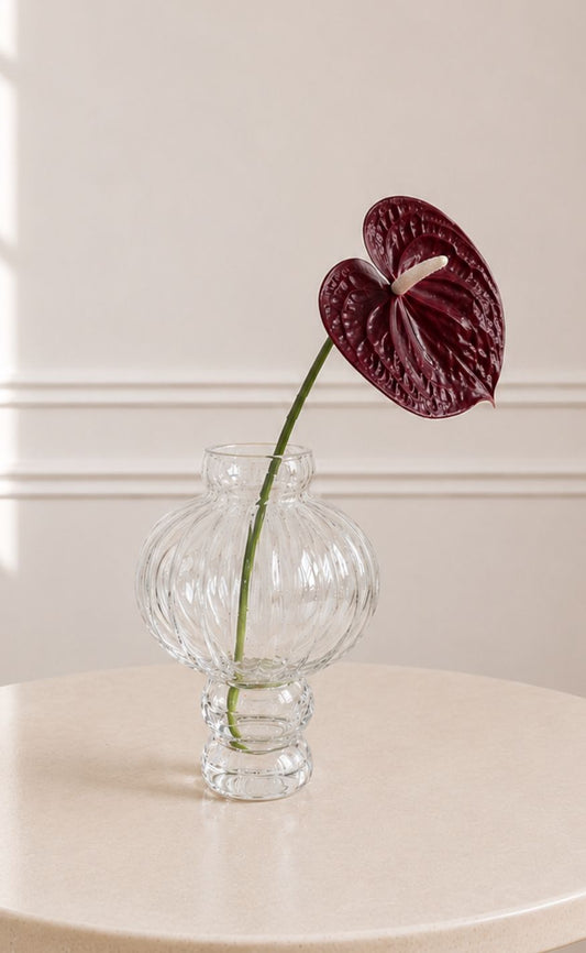 Sabloom Stilke - Anthurium - Burgundy